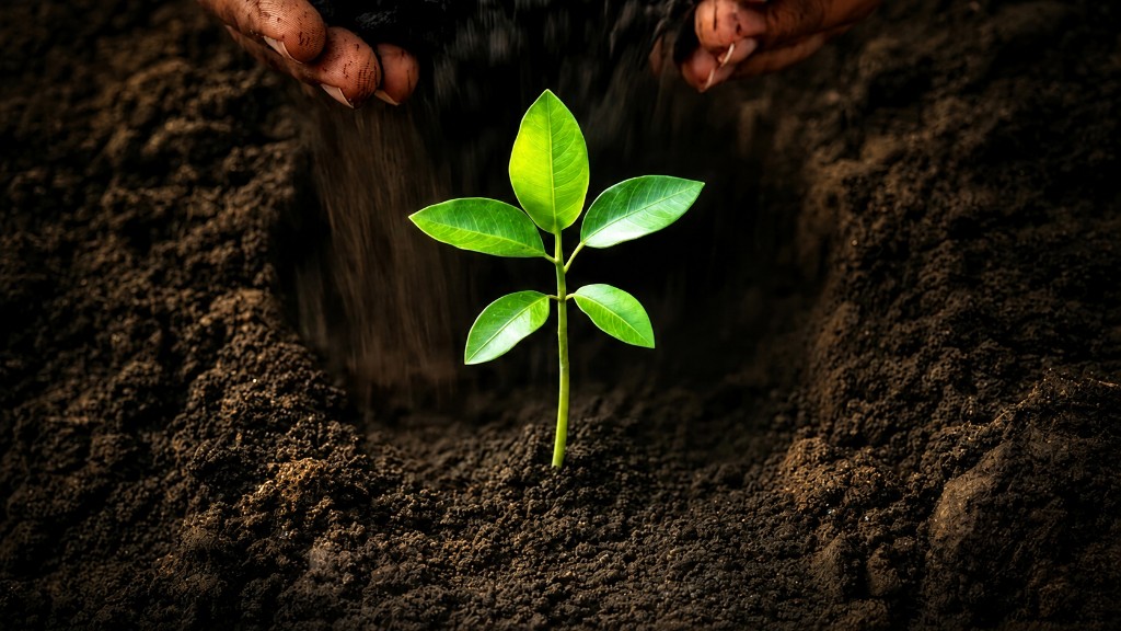 Hand nurturing a young plant, symbolising growth across Europe